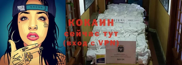 МДПВ Вяземский