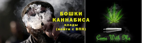 сатива Вязники