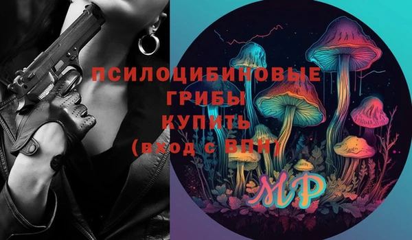 сатива Вязники
