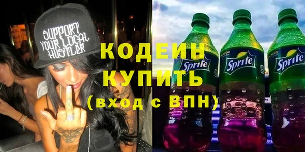 МДПВ Вяземский