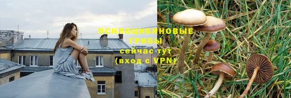 сатива Вязники