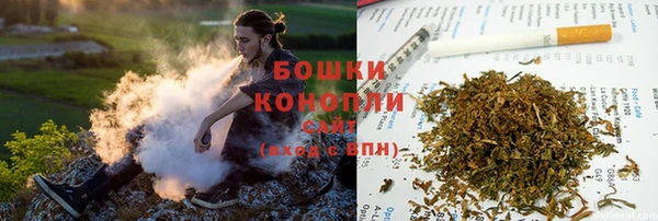 МДПВ Вяземский