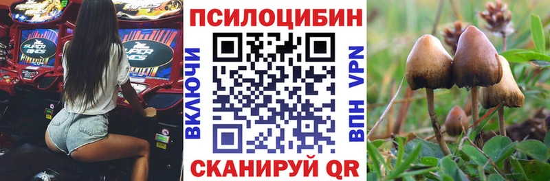 Купить где  Нягань  Галлюциногенные грибы GOLDEN TEACHER 